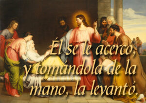 Ordinary Time - Week 5 - Gospel - Spanish