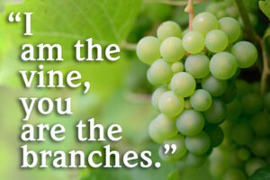 Easter - Week 5 - Gospel - English