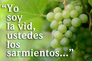 Easter - Week 5 - Gospel - Spanish