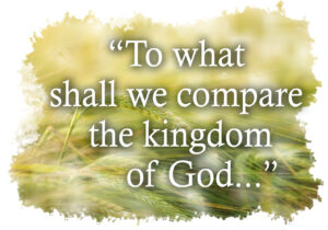 Ordinary Time - Week 11 - Gospel - English