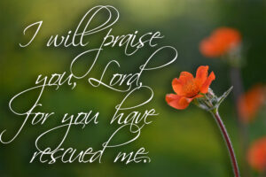 Ordinary Time - Week 13 - Response - English