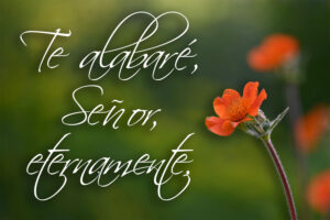 Ordinary Time - Week 13 - Response - Spanish