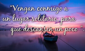 Ordinary Time - Week 16 - Gospel - Spanish