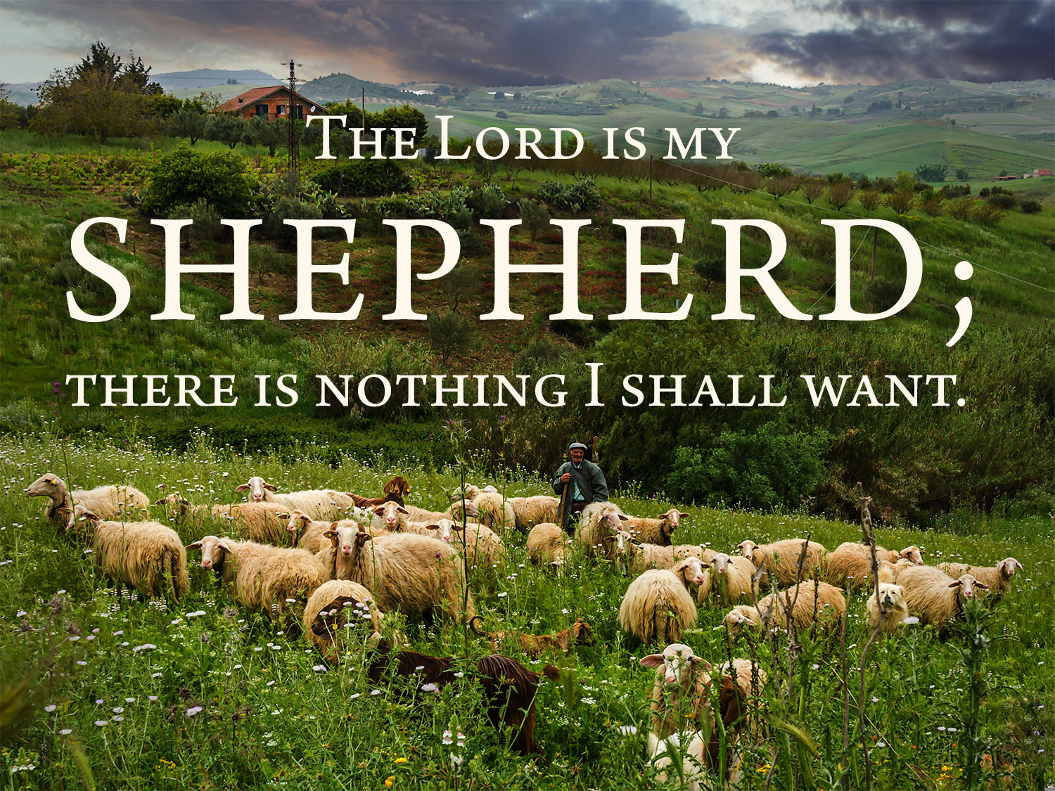 Ordinary Time - Week 16 - Response - English 1 Ordinary Time - Week 16 - Response - English