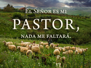 Ordinary Time - Week 16 - Response - Spanish