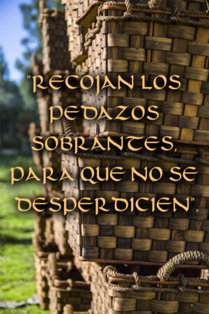 Ordinary Time - Week 17 - Gospel - Spanish