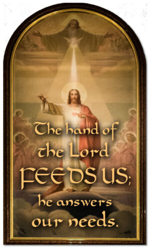 Ordinary Time - Week 17 - Response - English