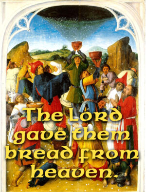 Ordinary Time - Week 18 - Response - English