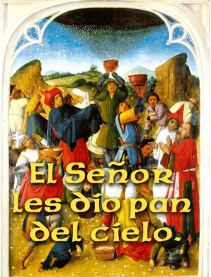 Ordinary Time - Week 18 - Response - Spanish