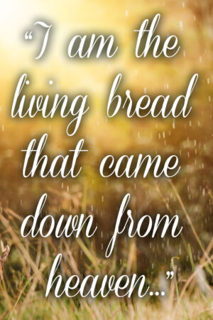 Ordinary Time - Week 19 - Gospel - English