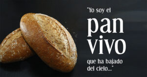 Ordinary Time - Week 20 - Gospel - Spanish