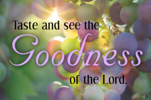 Ordinary Time - Week 20 - Response - English