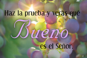 Ordinary Time - Week 20 - Response - Spanish