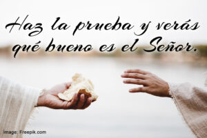 Ordinary Time - Week 21 - Response - Spanish