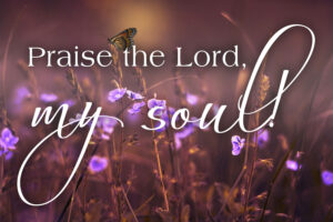 Ordinary Time - Week 23 - Response - English