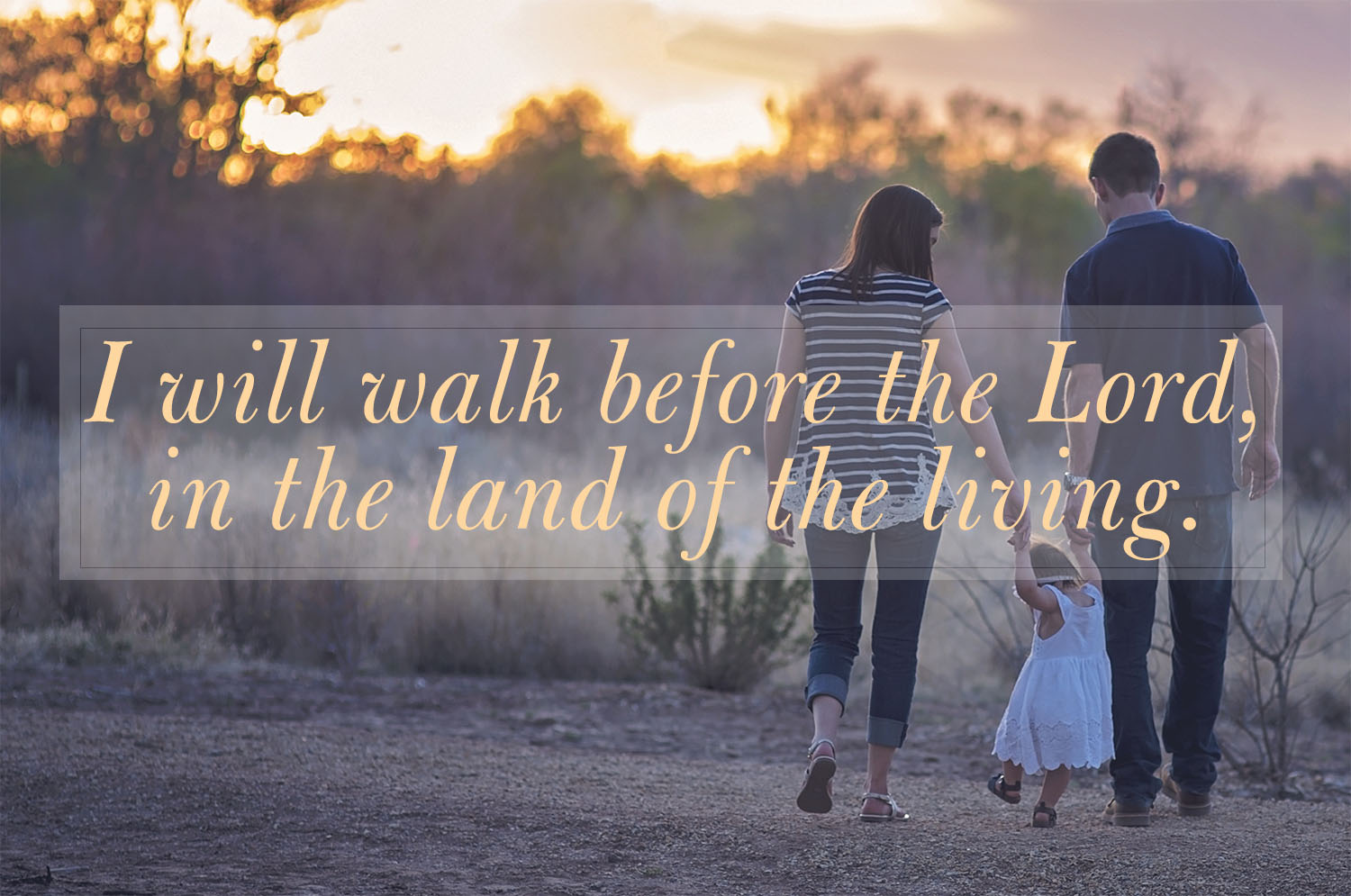 Ordinary Time - Week 24 - Response - English 1 Ordinary Time - Week 24 - Response - English