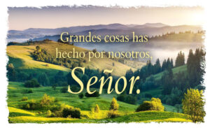 Ordinary Time - Week 30 - Response - Spanish