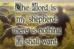 All Souls - Response - English