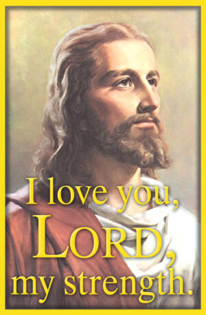 Ordinary Time - Week 31 - Response - English