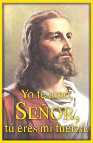 Ordinary Time - Week 31 - Response - Spanish