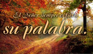 Ordinary Time - Week 32 - Response - Spanish