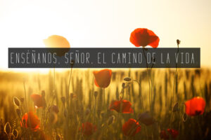 Ordinary Time - Week 33 - Response - Spanish