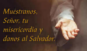 Advent - Week 2 - Response - Spanish - B