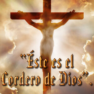 Ordinary Time - Week 2 - Gospel - Spanish - B