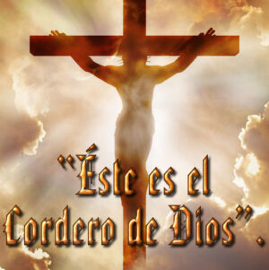 Ordinary Time - Week 2 - Gospel - Spanish - B