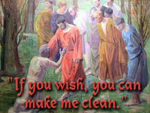 Ordinary Time - Week 6 - Gospel - English - B