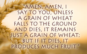 Lent - Week 5 - Gospel - English - B