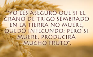 Lent - Week 5 - Gospel - Spanish - B