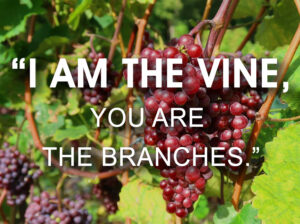 Easter - Week 5 - Gospel - English - B