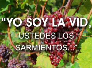 Easter - Week 5 - Gospel - Spanish - B