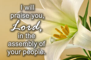 Easter - Week 5 - Response - English - B