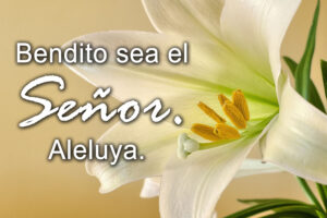 Easter - Week 5 - Response - Spanish - B