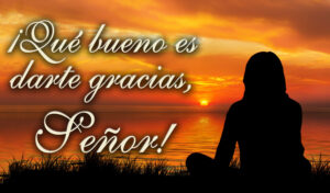 Ordinary Time - Week 11 - Response - Spanish - B