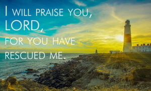 Ordinary Time - Week 13 - Response - English - B