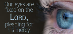 Ordinary Time - Week 14 - Response - English - B