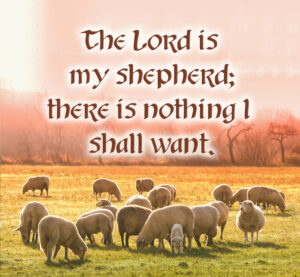 Ordinary Time - Week 16 - Response - English - B