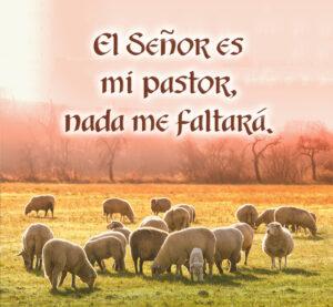 Ordinary Time - Week 16 - Response - Spanish - B