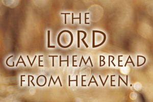 Ordinary Time - Week 18 - Response - English - B