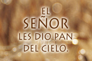 Ordinary Time - Week 18 - Response - Spanish - B