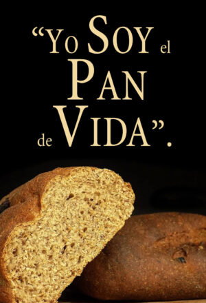 Ordinary Time - Week 19 - Gospel - Spanish - B