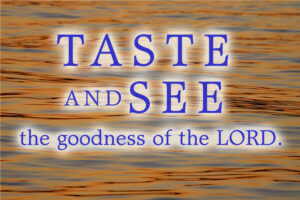 Ordinary Time - Week 19 - Response - English - B