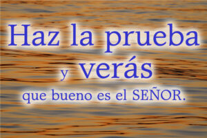 Ordinary Time - Week 19 - Response - Spanish - B