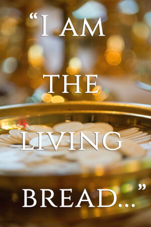 Ordinary Time - Week 20 - Gospel - English - B