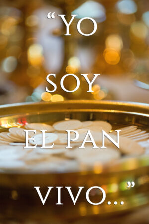 Ordinary Time - Week 20 - Gospel - Spanish - B