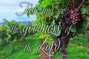 Ordinary Time - Week 20 - Response - English - B