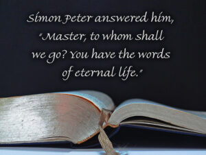 Ordinary Time - Week 21 - Gospel - English - B